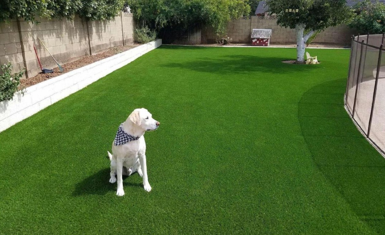 Residential artificial grass installation with happy dog in Port Charlotte, FL